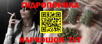 дмт Камышлов