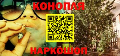 дмт Камышлов