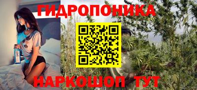 крисы Канаш