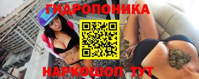дмт Камышлов