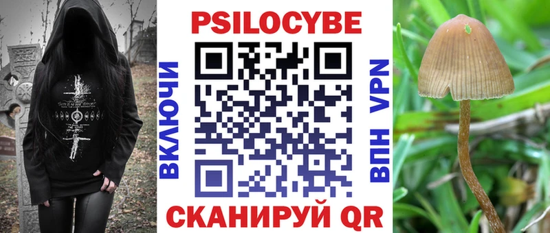 хочу   Ялуторовск  Псилоцибиновые грибы Psilocybe 
